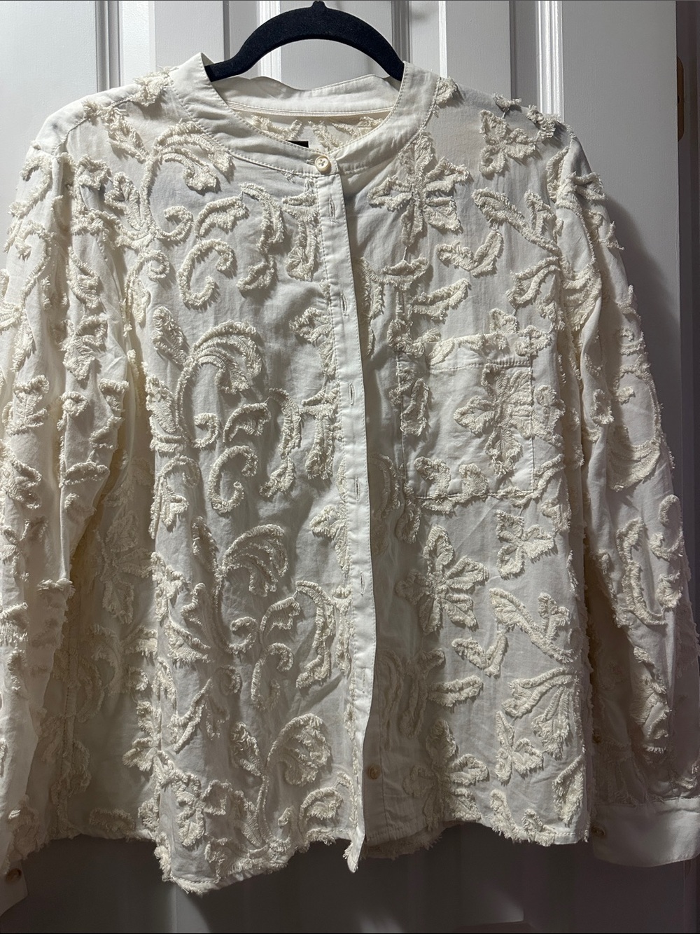 Anthropologie Cream Embroidered Button-Front Jacket